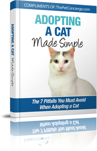 Adopting a Cat Made Simple e-book cover