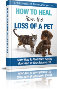 How to Heal from the Loss of a Pet e-book cover