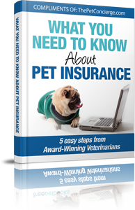 What You Need to Know About Pet Insurance e-book