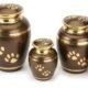 What to Do With Your Pet’s Ashes