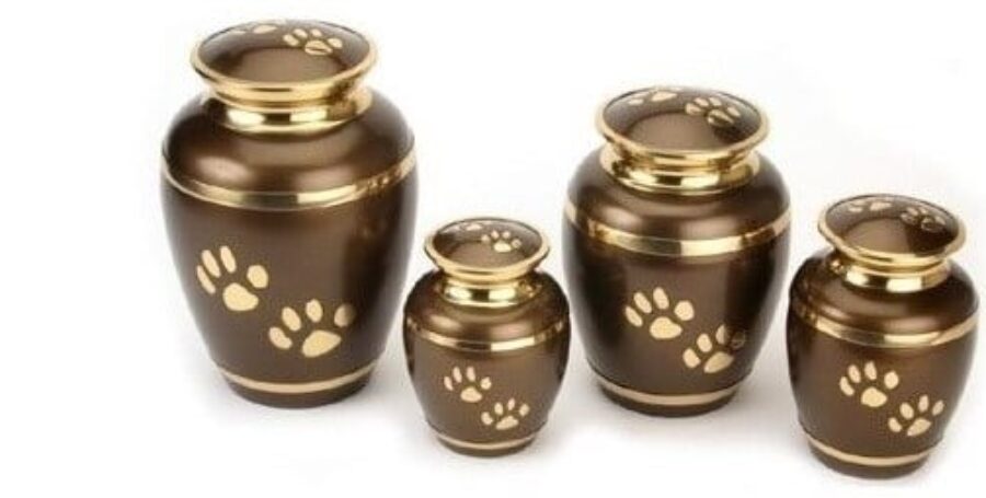 What to Do With Your Pet’s Ashes