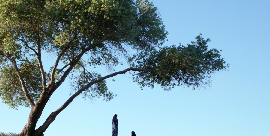 3 Tips for Coping with the Loss of a Pet