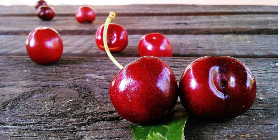 8 Common Toxins That Don’t Get Mentioned Enough