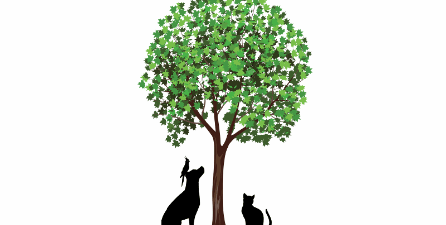 3 Unique Ways to Memorialize Your Pet