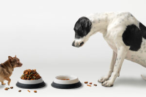 Nutrition and Exercise: Our 2017 Goals