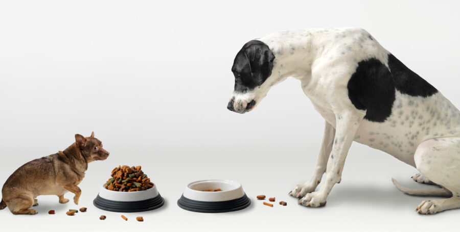 Nutrition and Exercise: Our 2017 Goals