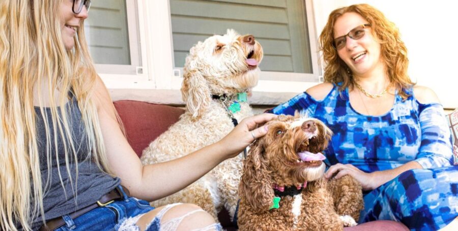 socializing my puppy