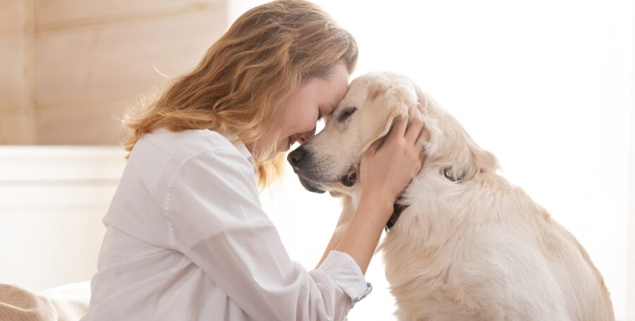 How-to-Spot-Early-Signs-of-Illness-in-Your-Pet