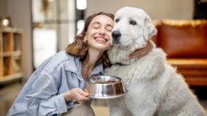 pet food formats in bowls for dogs and cats