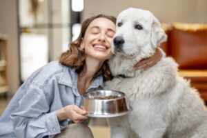 pet food formats in bowls for dogs and cats