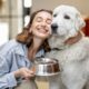 Pet Food Formats: Choosing the Best Option for Your Dog or Cat