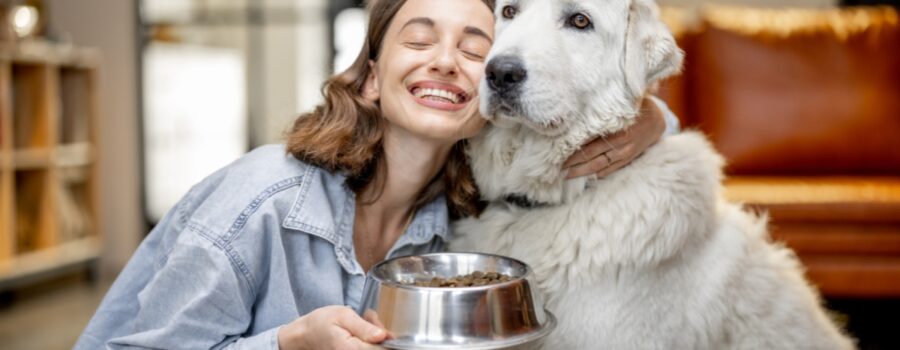 pet food formats in bowls for dogs and cats