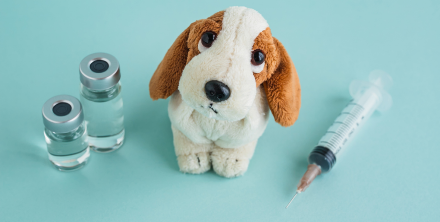 Understanding Pet Vaccination Schedules