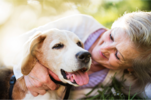 Feeding Senior Pets: Gentle Nutrition Tips for the Golden Years
