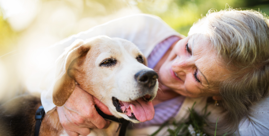 Feeding Senior Pets: Gentle Nutrition Tips for the Golden Years
