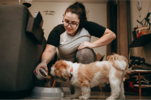 Homemade vs Commercial Pet Food: Pros, Cons, and What’s Best for Your Pet