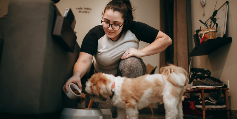 Homemade vs Commercial Pet Food: Pros, Cons, and What’s Best for Your Pet