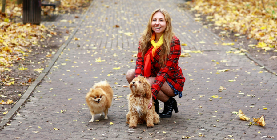 A person gently massaging an older dog's shoulders surrounded by autumn leaves.