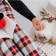 5 Gentle Ways to Support Your Pet’s Well-Being This Winter