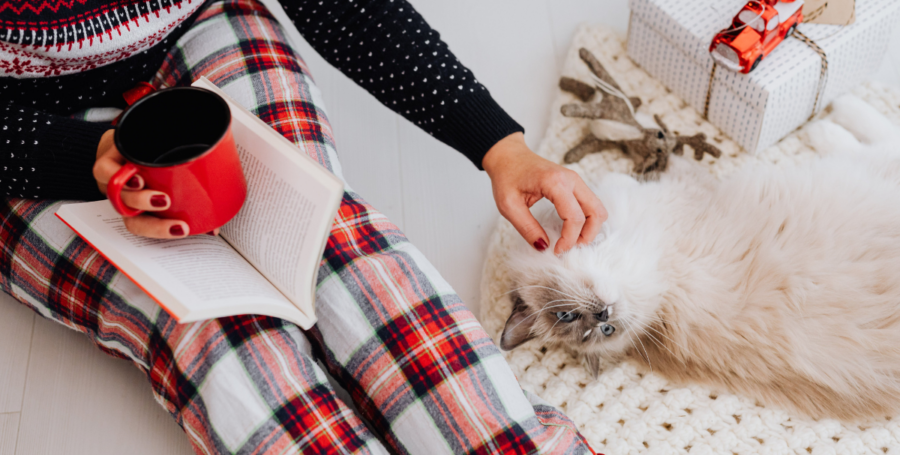 pet nad owner lounging in the winter