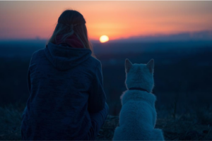 A person and their dog sitting quietly together, watching a sunrise, conveying a sense of peace