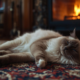 The Birman: Temperament, Care & Personality Guide