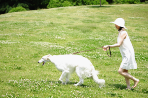 Dog enjoying phone-free playtime with owner in backyard