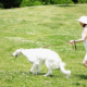 Creating a Mindful Summer Routine with Your Pet