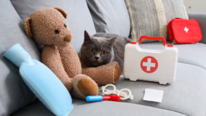 Organized pet emergency kit with food water leash and medical supplies