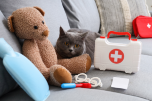 Organized pet emergency kit with food water leash and medical supplies