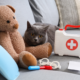 Pet Emergency Kit & Preparedness Checklist